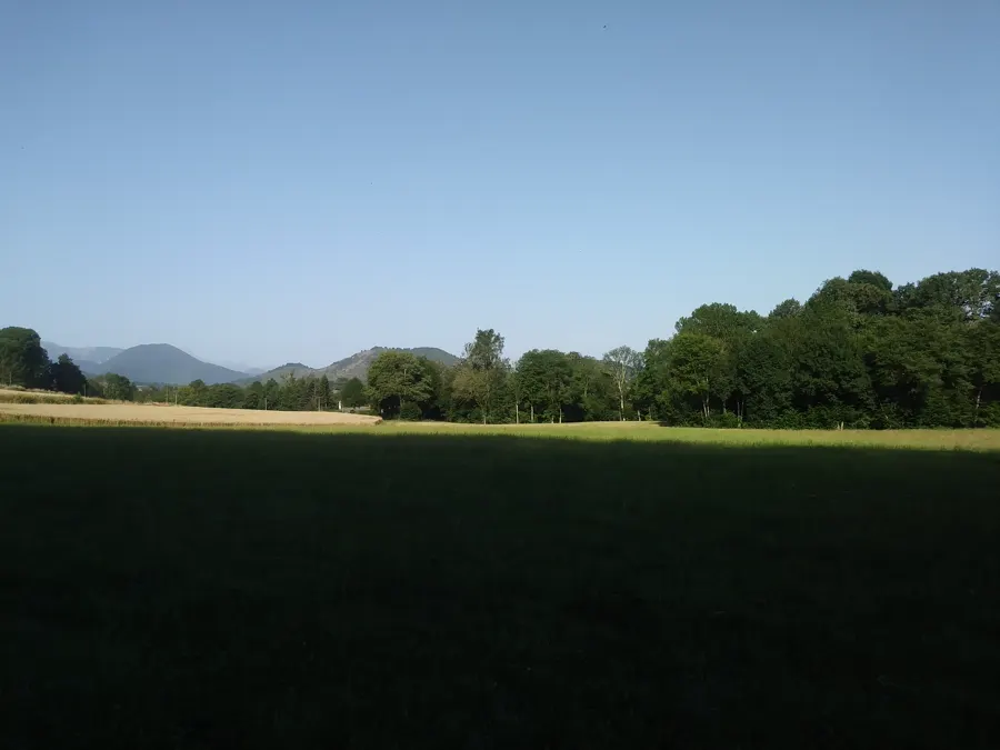 Ruches dans une prairie des Pyrénées, en basse montagne